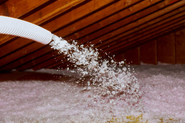 Best Spray Foam Insulation  in Lakeview, OH