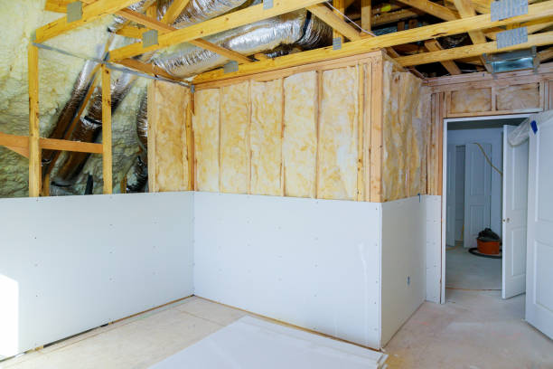 Best Home Insulation Services  in Lakeview, OH