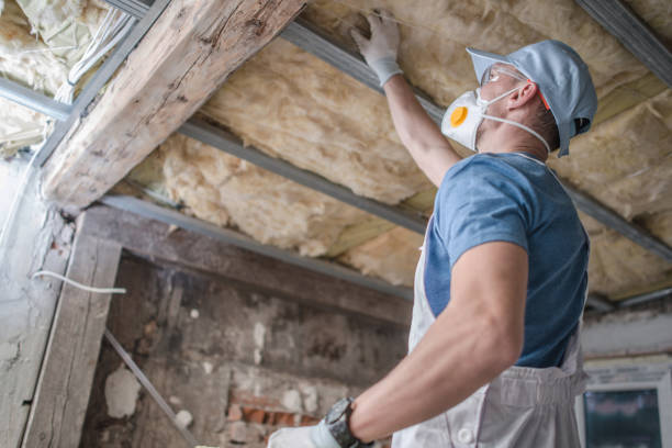 Best Attic Insulation Near Me  in Lakeview, OH