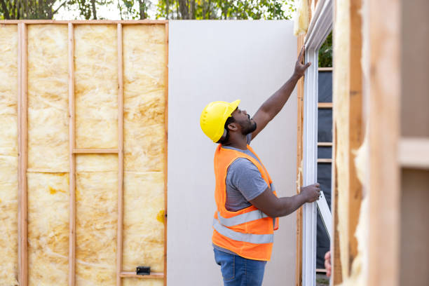 Best Attic Insulation Installation  in Lakeview, OH