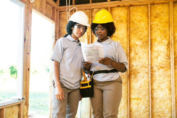 Best Insulation Replacement Services  in Lakeview, OH