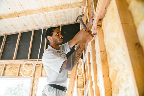 Best Affordable Insulation Services  in Lakeview, OH