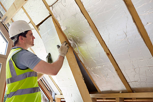 Best Residential Insulation Services  in Lakeview, OH