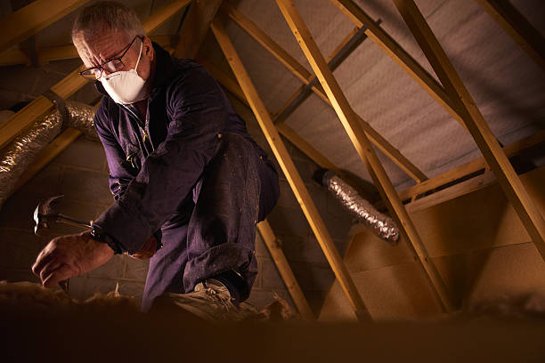 Best Insulation Inspection Services  in Lakeview, OH