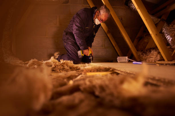 Best Cellulose Insulation  in Lakeview, OH