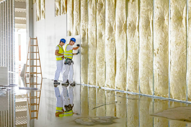 Trusted Lakeview, OH Insulation Contractor Experts